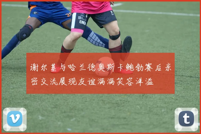 谢尔基与哈兰德奥斯卡鲍勃赛后亲密交流展现友谊满满笑容洋溢